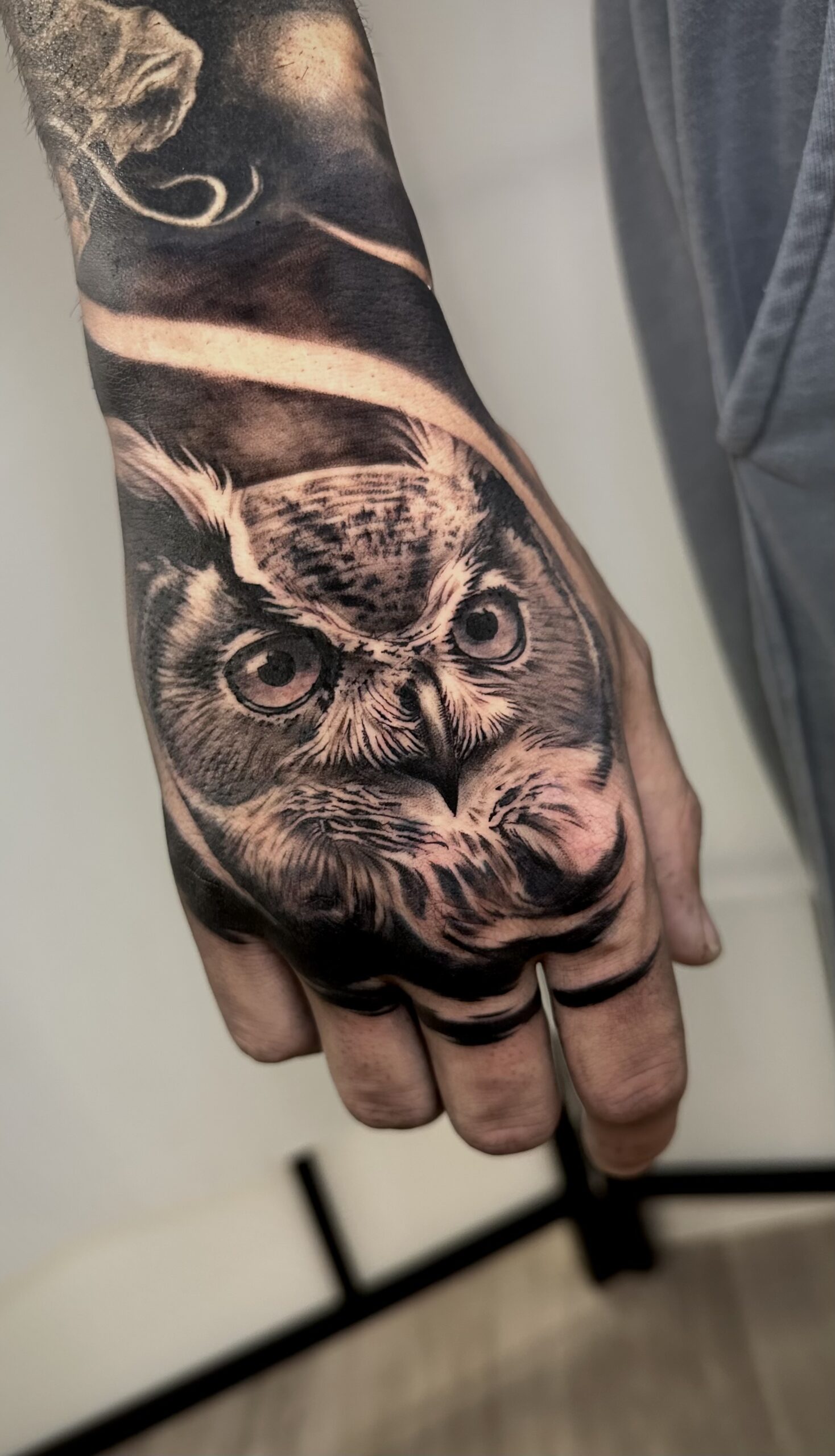 estilo realismo buho